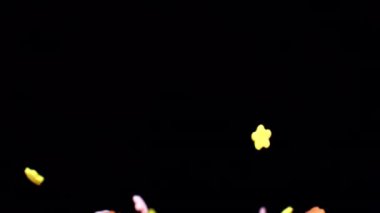 Dinamik yavaş çekim rengarenk çiçekleri yakalar. Zarif bir şekilde karanlıkta yüzer. Tuhaf ve büyüleyici bir sahne yaratır.