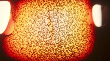 Büyüleyici bir yakın çekim, 8 mm 'lik eski bir filmin yavaş yanmasını yakar. Karmaşık dokular ve sıcak renkler ortaya çıkar. Nostalji ve çürümenin güzelliğini anımsatır.