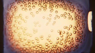 Yanan 8 mm 'lik bir filmin yakın plan çekimi. Eriyen ve gelişen küçük baloncuklar, canlı renkler ve büyüleyici görsel ekran içindeki dinamik dokular.