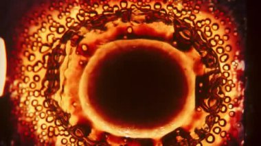 Baloncukların büyüleyici yavaş çekim gücü, yanan klasik filmin titreyen alevleri arasında yavaş yavaş dağılıyordu. Hassas kabarcıklar ve yoğun baloncuklar arasında çarpıcı bir kontrast oluşturuyordu.