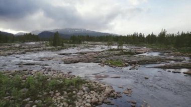 İnsansız hava aracı Norveç 'in kayalık nehri boyunca ilerliyor. Çam ağaçları ve arka plandaki yüksek dağlarla çevrili.