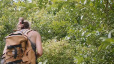 Sırt çantalı kolsuz bluzlu bir kadın yemyeşil yaprakların arasından bir ağaçtan limon toplamaya uzanır.