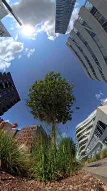 Modern şehir binalarıyla çevrili yalnız bir ağacı gösteren 360 'lık bir zaman çizelgesi, doğa ve şehir mimarisi arasındaki zıtlığı vurguluyor.