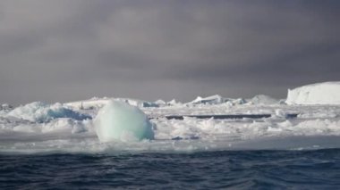 Grönland 'ın el değmemiş Arktik sularında zarif bir şekilde sürüklenen buzdağları görkemli ölçeklerini ve sakin izolasyonlarını sergiliyor.