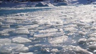 Grönland 'ın kutup sularında yüzen buzdağı parçaları güneş ışığında parıldıyor ve kutup manzarasının dingin güzelliğini yansıtıyor.