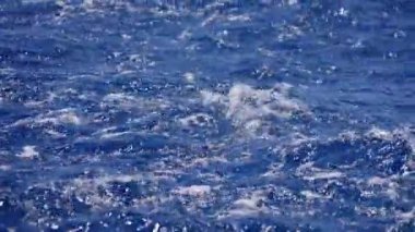 Yakın çekim, derin mavi okyanusu küçük dalgalar ve gün ışığında parıldayan dinamik dalgalarla yakalar. Bu da hareketli bir tekneden hareket edildiğini gösterir.