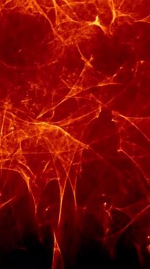 Huzurlu, rüya gibi turuncu dalgalar yavaşça siyaha dönüşüyor, sakinleştirici ve sakin bir atmosfer yaratıyor.