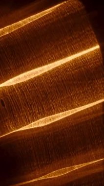 Aydınlık turuncu dalgaların büyüleyici bir görüntüsü. Karanlık, gölgeli bir uzayda zarifçe süzülüyor. Gerçeküstü ve ruhani bir atmosfer yaratıyor.