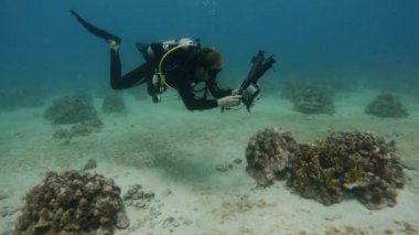 Farklı deniz yaşamlarının görüntülerini yakalamak için kamera kullanan bir dalgıç.