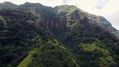 Marquesas Adaları 'ndaki yemyeşil dağları çevreleyen ve çarpıcı tropikal manzaraları ve engebeli araziyi gösteren insansız hava aracı görüntüleri.