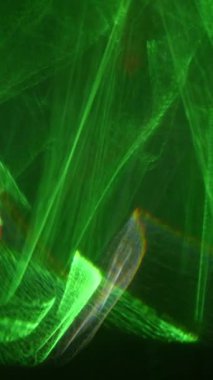 Fütürist yeşil ve beyaz ışık akımları ritmik hareketlerle sallanıyor. Karanlık, sonsuz bir boşluğa karşı zarif bir şekilde harmanlanıyor ve kayıyor. Büyüleyici, yüksek teknolojili bir atmosfer yaratıyor.