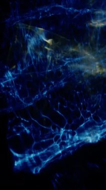 Büyüleyici mavi ve beyaz ışık dalgaları pürüzsüz bir şekilde harmanlanarak derin, karanlık bir zemin üzerinde pürüzsüz, akışkan bir hareket yaratır.