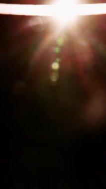 Yukarıdan aşağıya doğru zarif bir şekilde süzülen parlak ışık, karanlık bir arkaplana karşı yumuşak ve parlak bir ışık saçıyor.