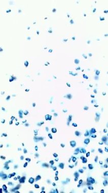 Mavi serpintiler yavaşça beyaz bir arkaplanda sürükleniyor, sakin ve eğlenceli bir sahne yaratıyor