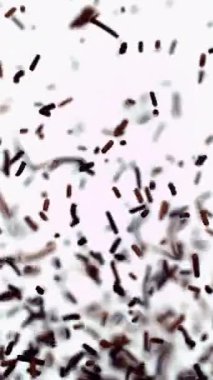 Çikolata esmer şeker jelibonları beyaz bir zeminde yavaşça yüzer.