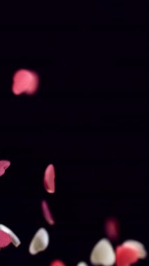 Pembe ve beyaz kalp, siyah arka planda nazikçe süzülür. Tuhaf, neşeli bir sahne yaratır.