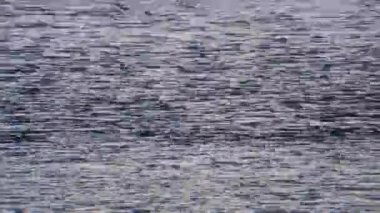 Klasik statik ve arıza seslerini gösteren klasik bir VHS kaseti, eski analog videoyu anımsatan nostaljik ve çarpık bir görsel efekt yaratır.