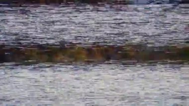 Sabit arızaları gösteren eski bir VHS kaset oynatıcısı. Nostaljik ve bozuk bir görsel efekt yaratıyor.