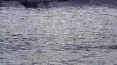 Bozuk VHS video oynatıcısı statik arızalar içeriyor, analog parazitin nostaljik etkisini yakalıyor ve ekran üzerindeki klasik bozulmayı yakalıyor