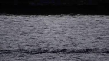 Eski bir ekranda hareket eden titreşen siyah çizgilerle bozulmuş bir VHS hata efekti