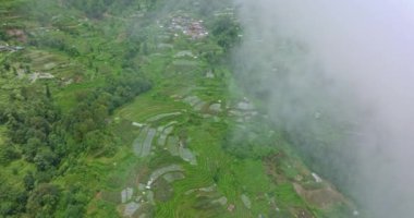 Nepal 'in yemyeşil arazisindeki canlı pirinç teraslarını gösteren hava görüntüleri karmaşık desenleri ve zengin yeşil alanları vurguluyor.