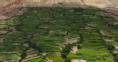 Nepal 'in yamaçlarından dökülen yemyeşil pirinç tarlalarının sersemletici hava manzarası karmaşık desenleri ve canlı yeşil manzarayı gözler önüne seriyor.