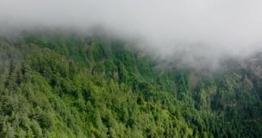 Nepal 'ler, sisli gündüz sisleriyle kaplı yeşil dağları yemyeşil ederek Himalaya zirveleri arasında huzurlu ve ruhani bir atmosfer sunuyorlar.