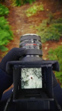 Birinci şahıs perspektifinden yakalanan bir fotoğrafçı sakin doğal ortamlarda dolaşır, sakin bir ortamın güzelliğini dikkatlice yakalamak için klasik bir film kamerası kullanır.