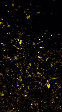 Göz kamaştırıcı altın konfeti zarif bir şekilde yukarı doğru süzülerek büyüleyici ve zarif bir görsel efekt yaratır.