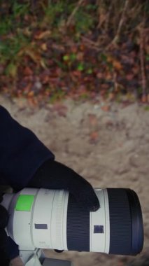 Bir fotoğrafçı sakin bir orman yolu boyunca yürür, sonra dikkatlice çerçevelemek ve doğal ortamda mükemmel bir kare yakalamak için diz çöker.