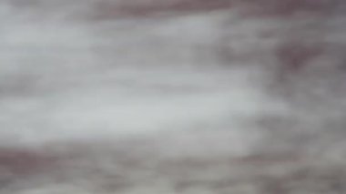 Yüksek hızlı kırbaç sesi ağaçları ve açık gökyüzünü bulanıklaştırarak dinamik hareket çizgilerine dönüştürür ve soyut ve hızlı bir görsel etki yaratır.