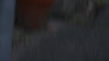 Hızlı bir kırbaç şehir binalarını dinamik hareket çizgilerine dönüştürüyor ve şehir manzarasını hızlı bir soyutlamaya dönüştürüyor.