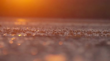 Sıcak günbatımı ışığı arka planda yumuşak bokeh daireler oluştururken küçük yengeçler ıslak kumda sürünüyorlar.
