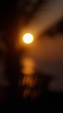 Yumuşak odaklı, nefes kesen bir sahil günbatımının ön planda duran bir palmiye silueti ile sıcak renklerde gökyüzünü boyarken, sakin ve rüya gibi bir tropikal manzara yaratıyor.