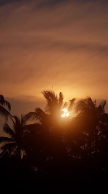 Pırıl pırıl bir altın gün batımı ufkun üzerinde sıcak bir parıltı saçar. Palmiye yaprakları narin tropikal esintide zarifçe sallanır. Huzurlu ve rüya gibi bir ada atmosferi yaratır.