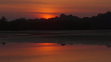 Turuncu günbatımı renkleri sakin sahil sularını yansıtır, siluetli yeşillik sakin sahneyi çerçeveler.