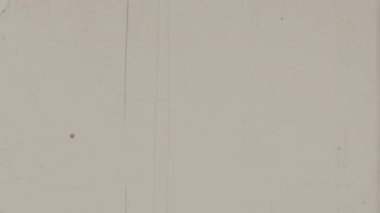 Özgün bir 8 mm film, analog film arkaplanının karakteristiği olan soluk dikey çizgilerle örtülmüş, sıcak bej bir zemin üzerine kurulmuş ve ince noktalar ve kusurlarla tamamlanmış.