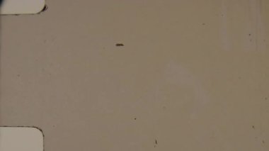 Görünür çerçeve kenarları ile örtüşen hafif bir film, filmin kenarlarını gösteren ince toz parçacıkları, çizikler ve iki farklı beyaz köşeleri içeren 8mm filmin otantik görünümünü taklit eder.