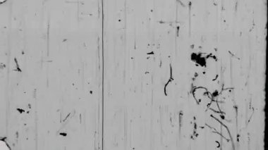 8 mm 'lik bir çerçeveye yerleştirilen bir hafif film, ağırlıklı olarak beyaz bir zemin üzerine kurulmuş dikey çizgilerin, koyu noktaların, lekelerin ve çiziklerin karmaşık bir dokusunu ortaya çıkarır.