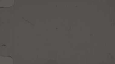 8 mm 'lik ışık ve tahıllı bir film, görüntüye görsel ilgi ve karakter katan yumuşak, puslu bir görüntü verir.