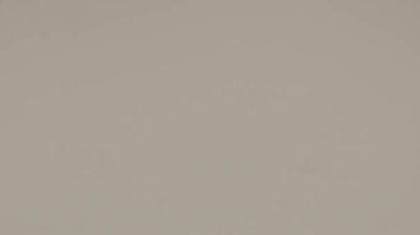 Açık tonlu 8 mm 'lik film, çerçeveyi silip süpüren birkaç belirgin kavisli çizik, güçlü görsel doku ve farklı bir klasik film görüntüsü içeriyor.