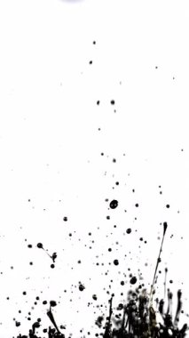 Siyah boya sıçrar ve damlacıklar temiz beyaz bir zemine karşı havada yüzer, sanatsal ve dinamik bir görsel görüntü yaratır.