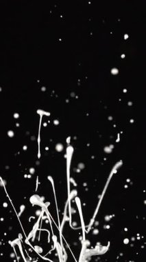 Beyaz akrilik boya patlar ve havaya sıçrar. Damlacıklar siyah bir yüzeye asılarak dramatik ve dinamik bir görsel etki yaratır.