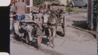 Huzurlu bir kırsalda, bir çocuğun bir katırla nazikçe bağ kurduğu iç açıcı bir sahne.