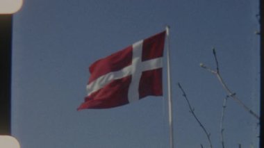 Danimarka Ulusal Bayrağı, Dannebrog, rüzgarda dalgalanır çıplak ağaçlar ve açık mavi gökyüzü, gücü ve ulusal gururu simgeler.