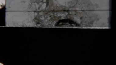 Old 8mm film ending featuring the word Slut in bold white letters on a solid black background, creating a vintage and retro cinematic effect