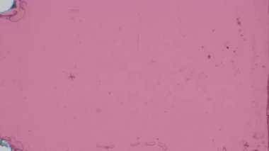 Kasvetli bir 8 mm film geçişi altında 