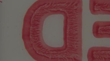 8mm 'lik bir ön rulo filmden klasik tonlu, hafif kumlu bir çekim çerçevenin alt kısmında dokulu kırmızı bir şerit içerir, harfler dizisi ve metinler kademeli olarak görünür.