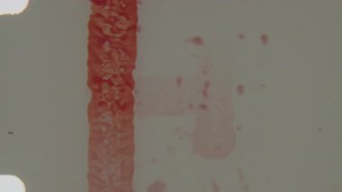 Bu 8 mm 'lik ön rulo klipte sol kenara paralel giden dikey bir delik şeridi var, soluk bir arkaplanda koyu kırmızı harfler var ve bu analog film estetiğini geliştiriyor.