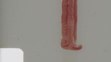 Dokulu, hafif dalgalı, kırmızımsı, 8 mm 'lik soyut, organik harfleri olan, el boyaması kalitesiz, klasik nostalji ve analog çekiciliği çağrıştıran bir film liderinin yakın çekimi.